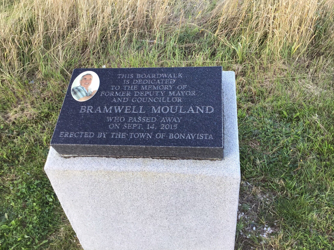 Old Days Pond Boardwalk-Bonavista必去景点