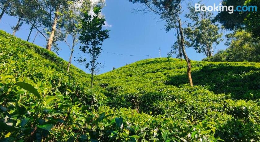 Pepper Garden Resort