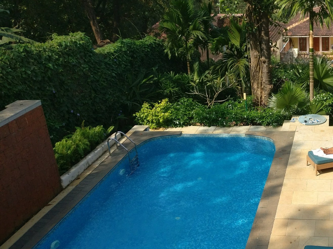 Serendipity House主图