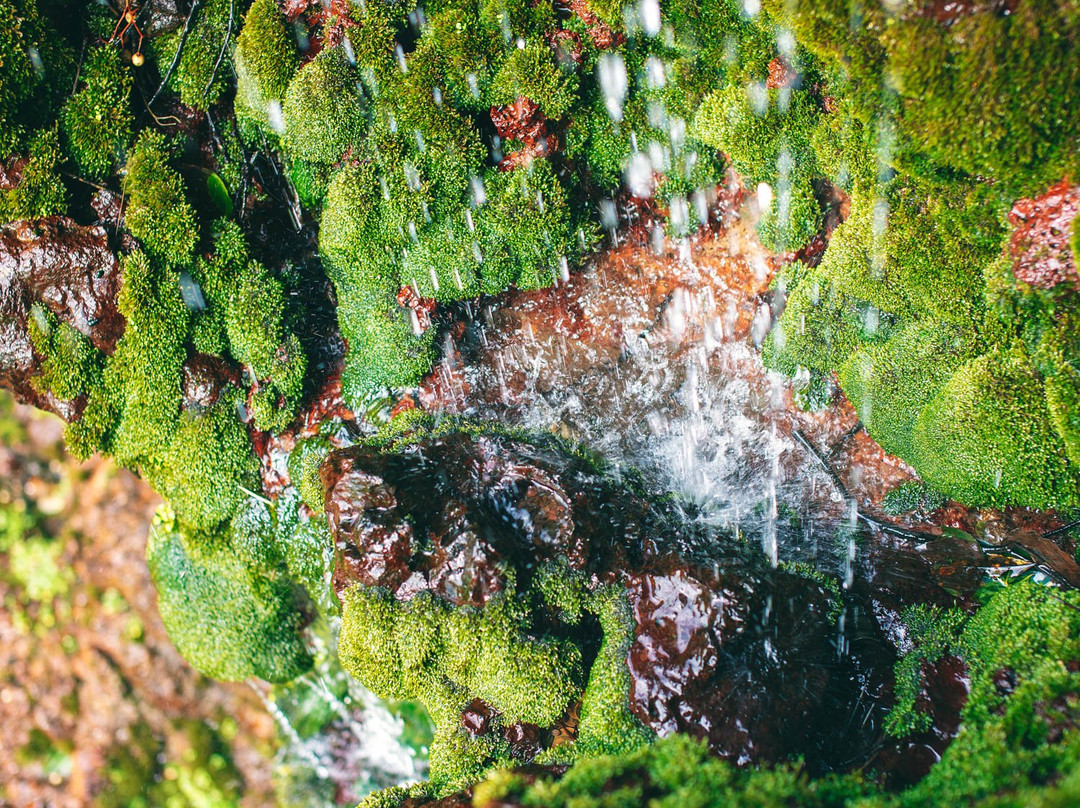 Ochozu Waterfall-壹岐市必去景点