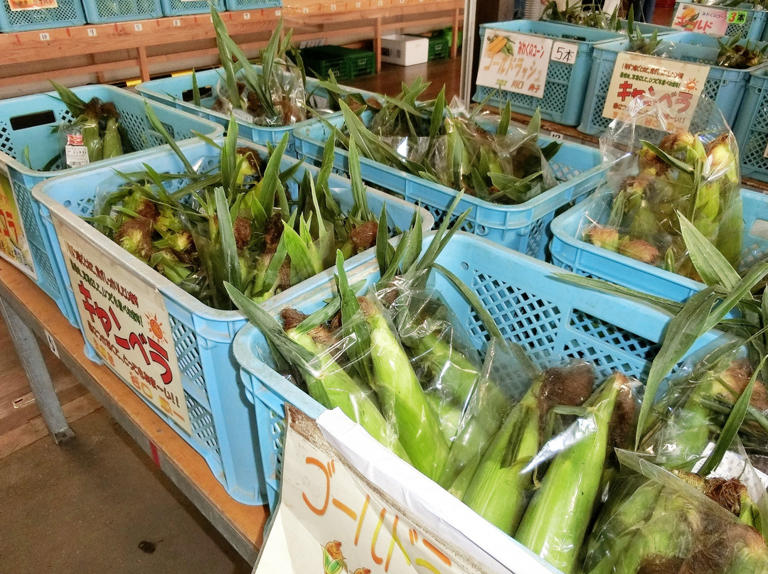 Minori-mu-芽室町必去景点