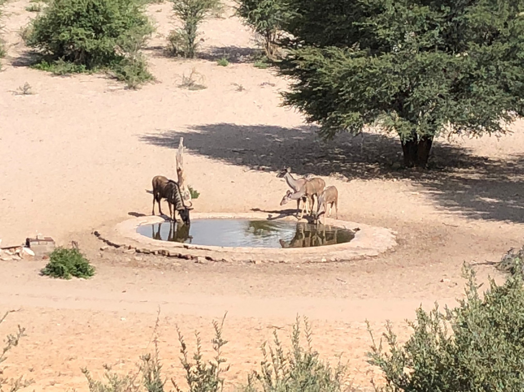 Vryburg旅游攻略图片