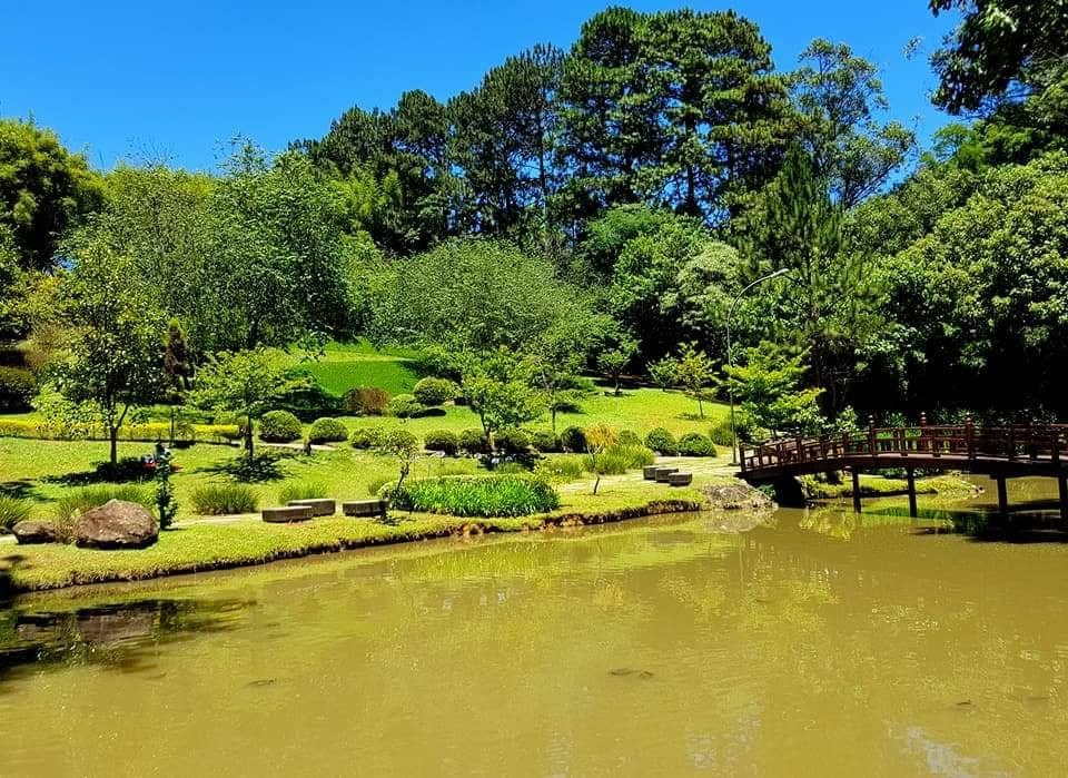 Cotia旅游攻略图片