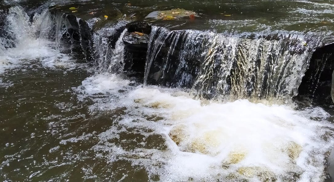 Cachoeiras Sitio Begalke-Benedito Novo必去景点
