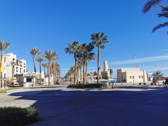 Port Ghalib Divers-马萨阿拉姆必去景点