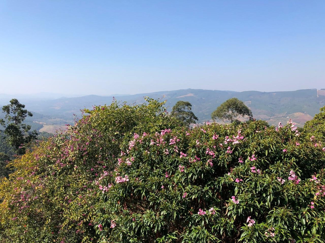 Lind End Guest Farm主图