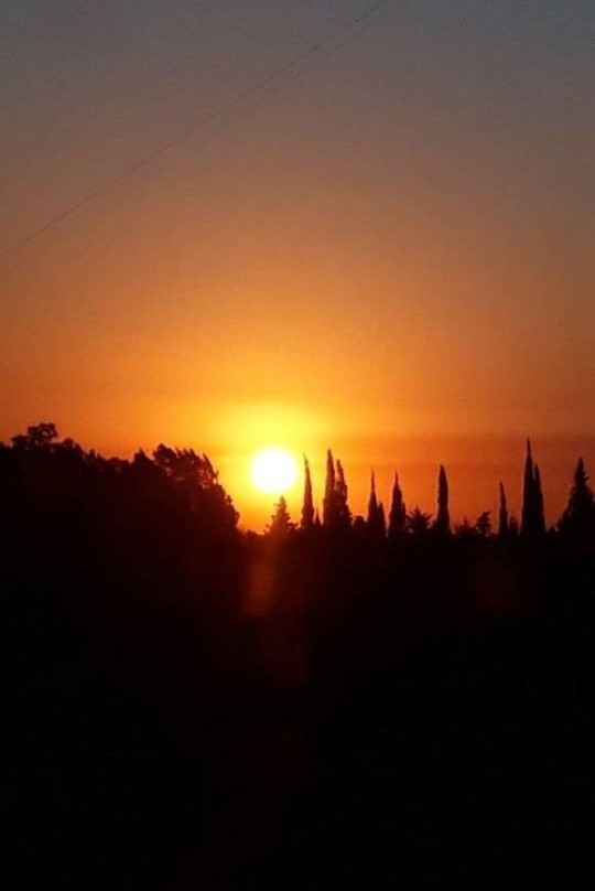 San Miguel Plaza Hotel主图