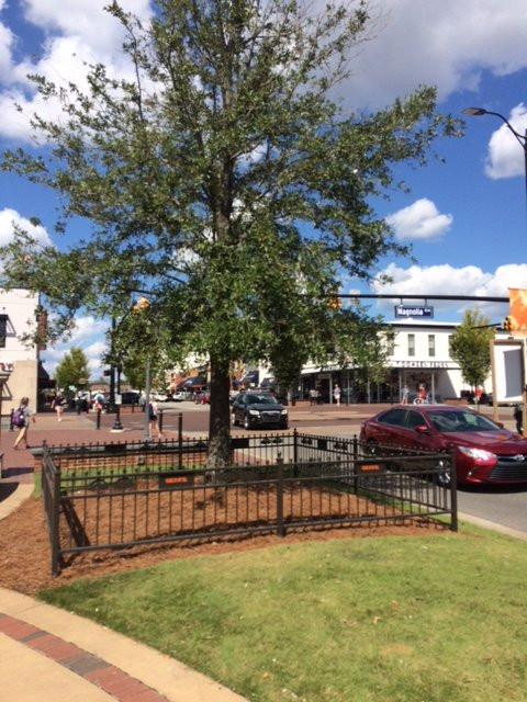 Toomer's Corner-奥本必去景点