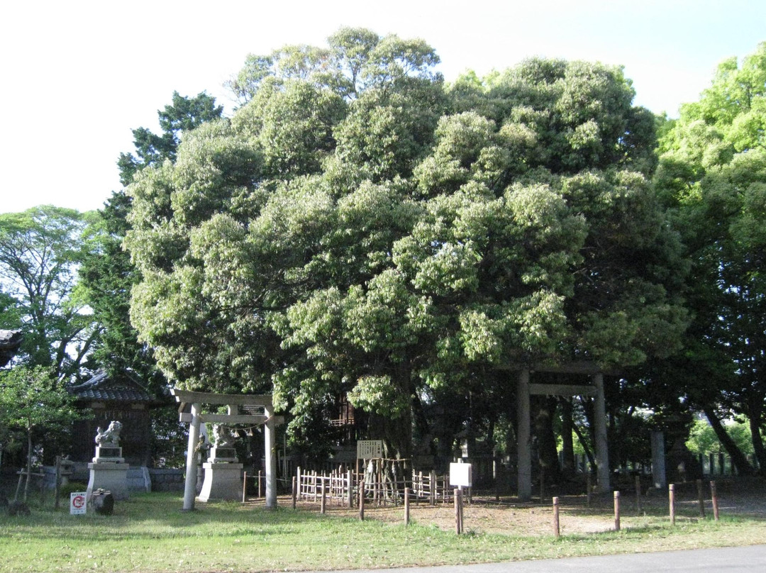 Motokariya Shrine景点图片