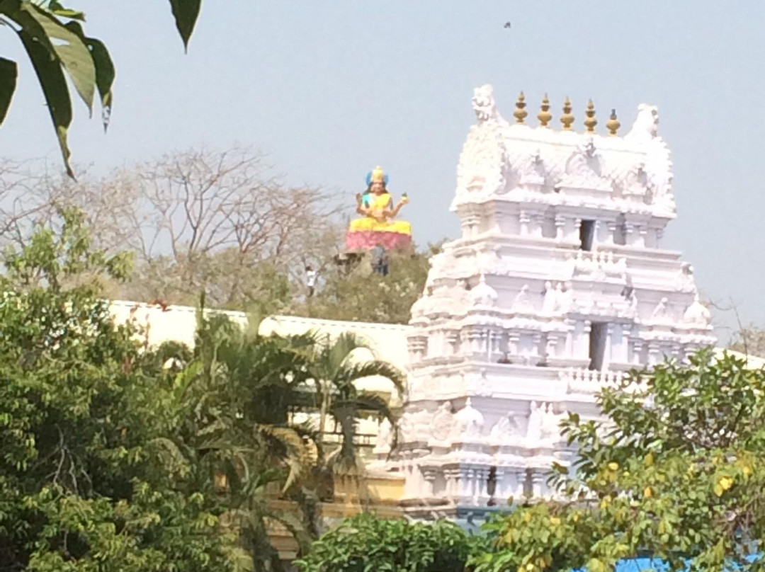 Basar Saraswati Temple景点图片