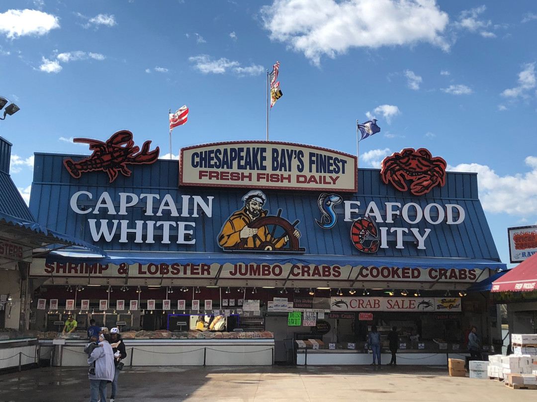Captain White’s Seafood City景点图片
