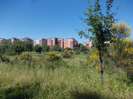 Gorga旅游景点-Parco Delle Valli