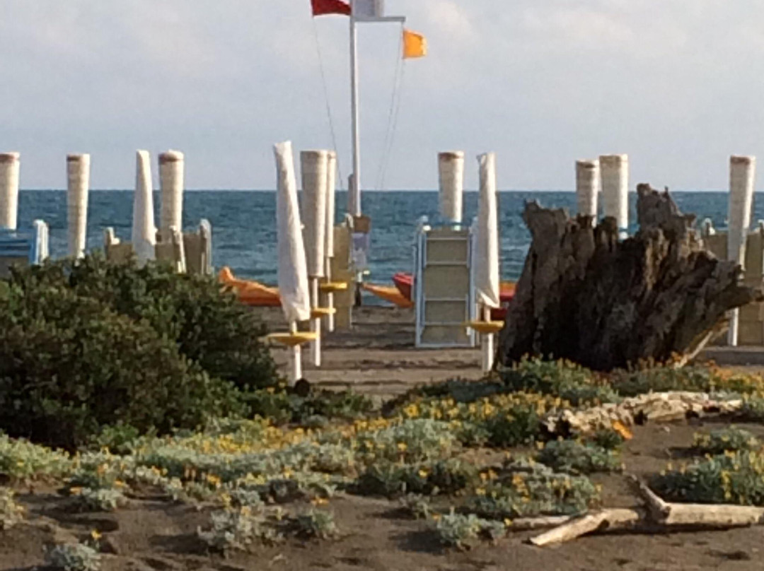 Le Dune Beach Restaurant & Bar