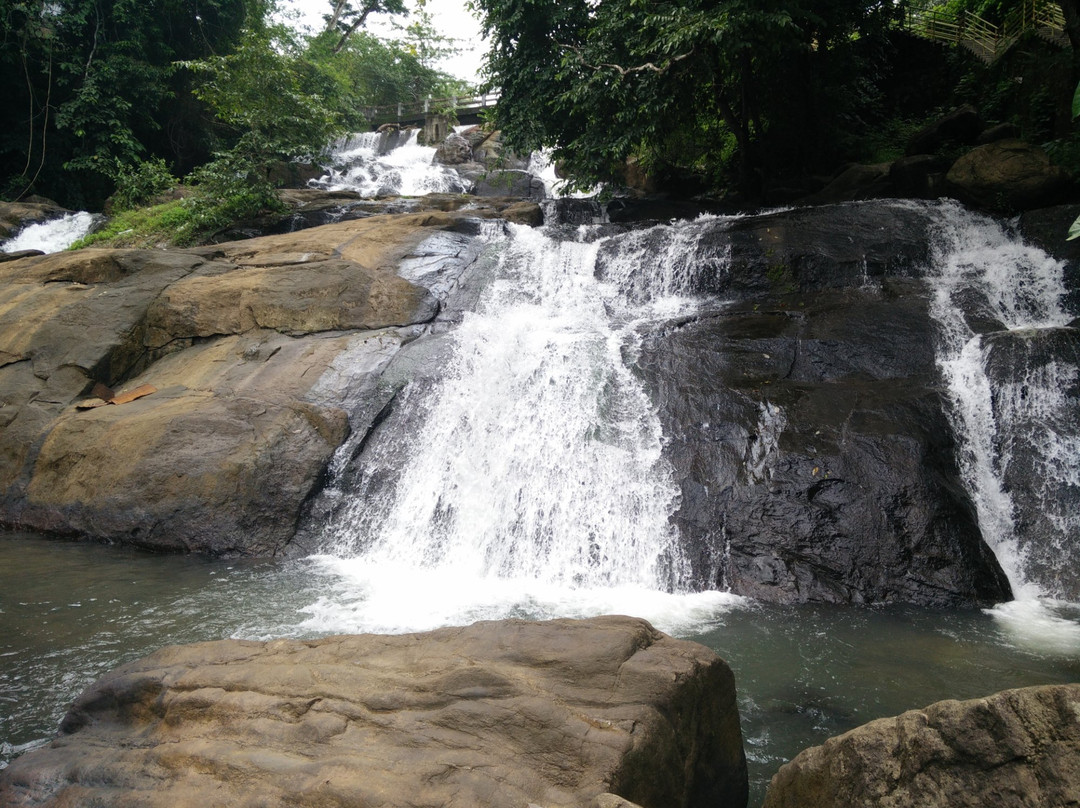 Pallickathodu旅游攻略图片