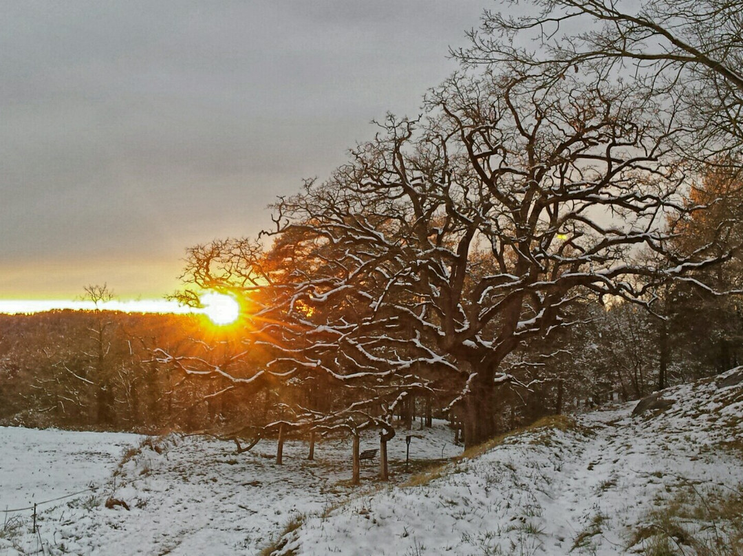 Santuari Mare de Deu dels Munts-Sant Agusti de Llucanes必去景点