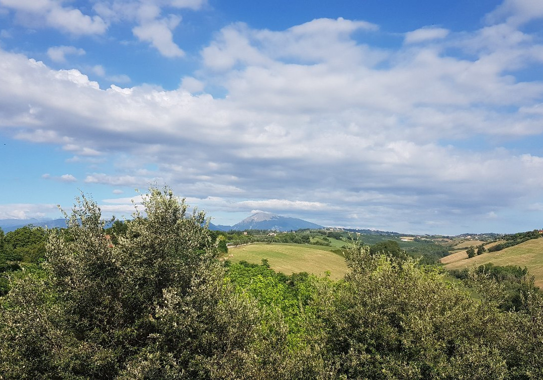 Casale Delle Arti