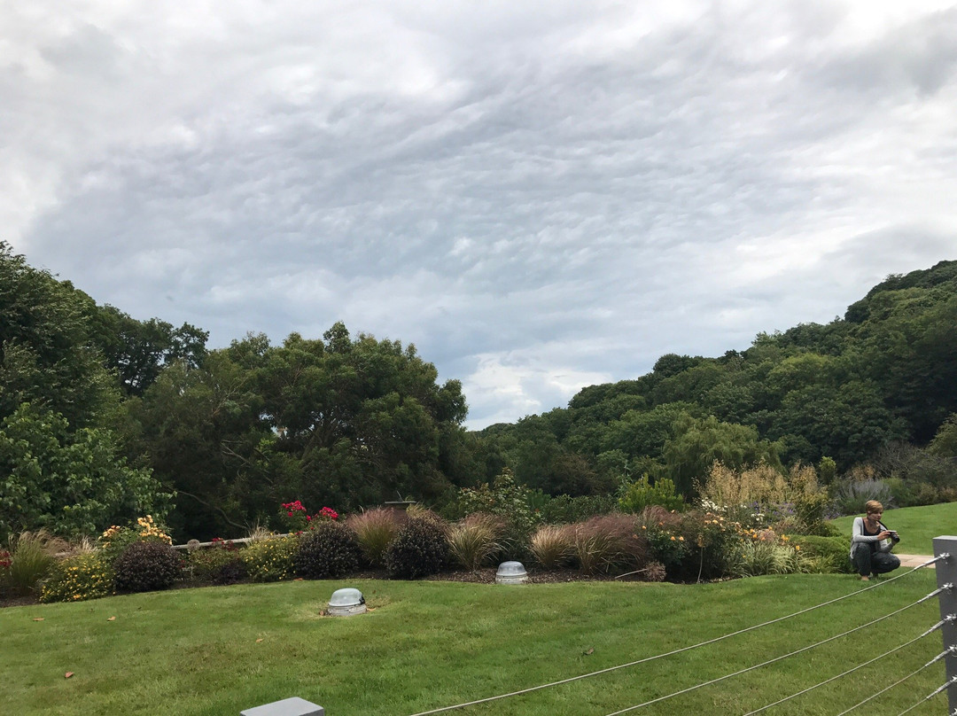 Dittisham Hideaway - Luxury Glamping