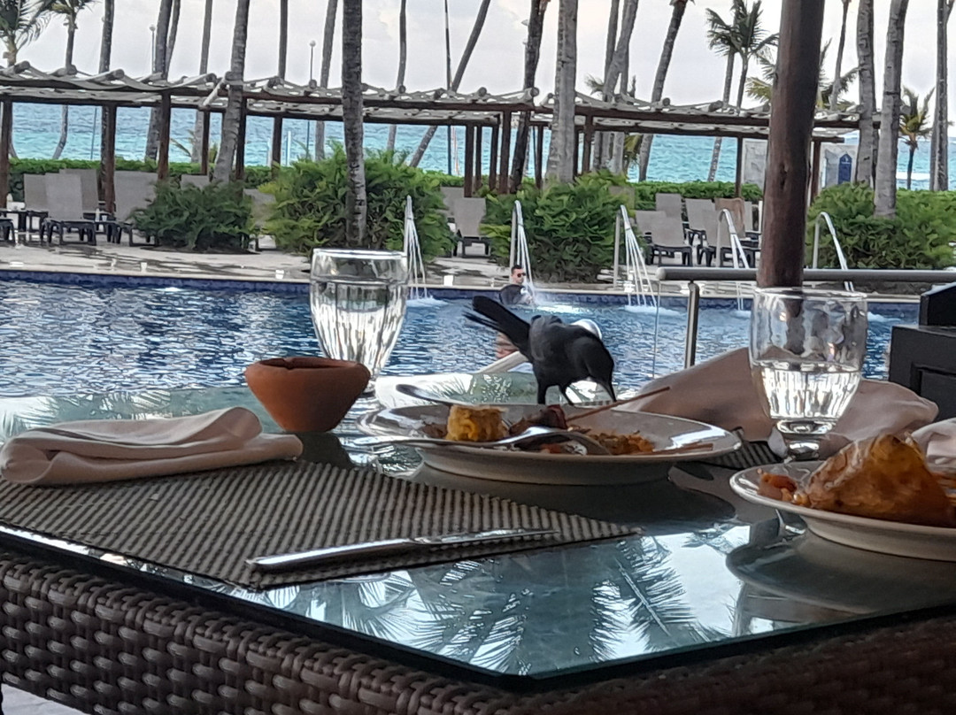 Restaurante Buffet Miramar