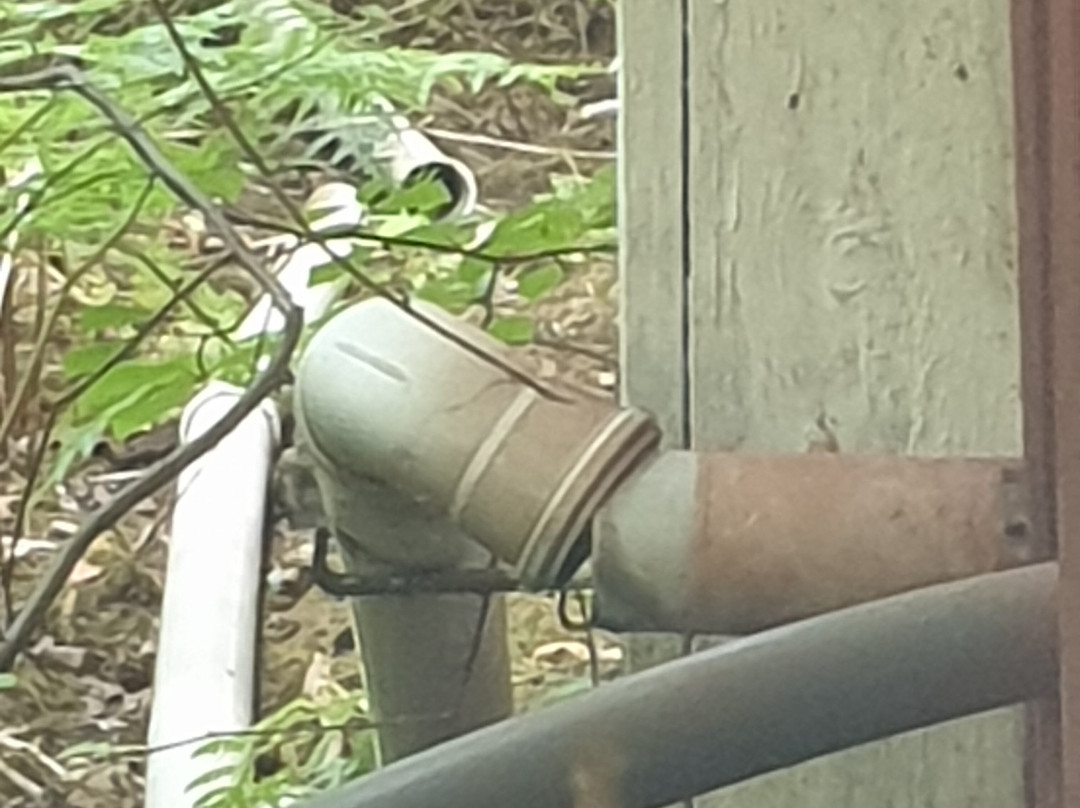 Fyrväpplingen sportfiske