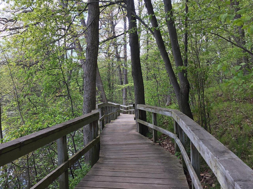 Rattray Marsh Conservation Area景点图片