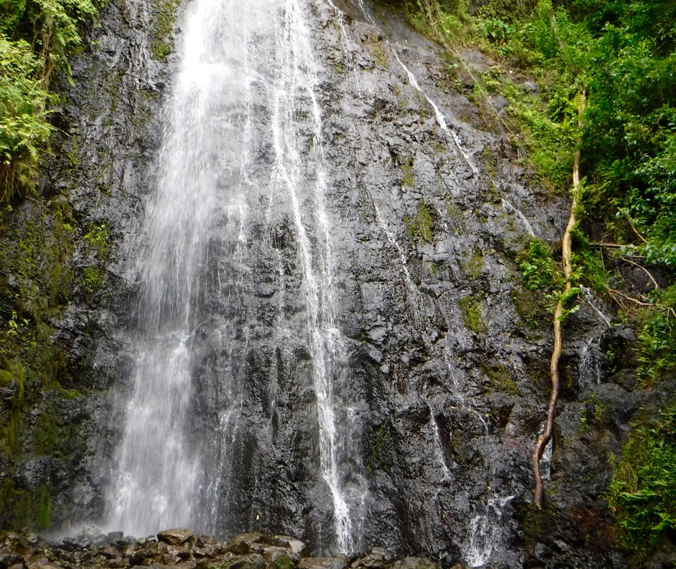Hamama Falls景点图片