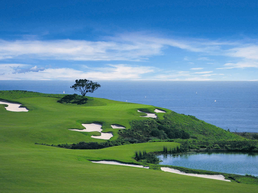 Pelican Hill Golf Club景点图片