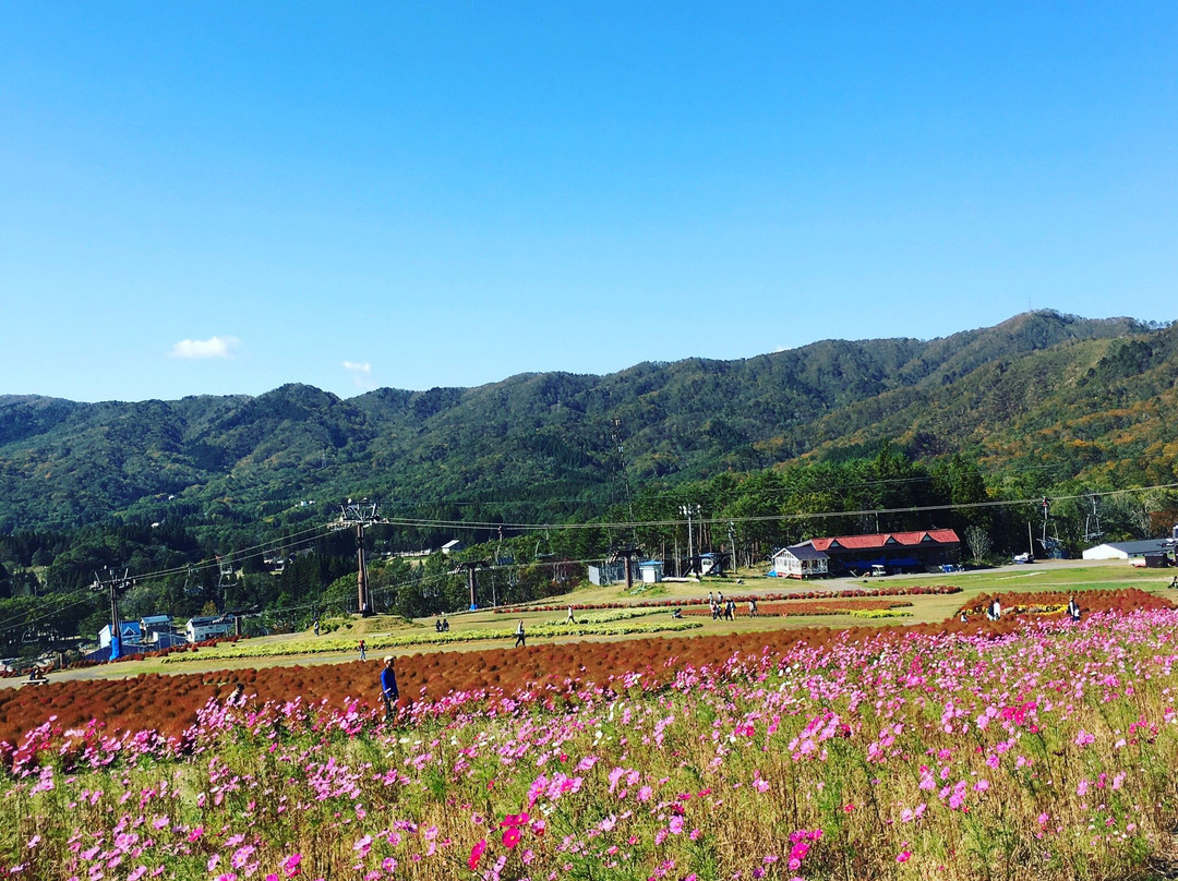 Hirugano Kogen Ski Areas景点图片