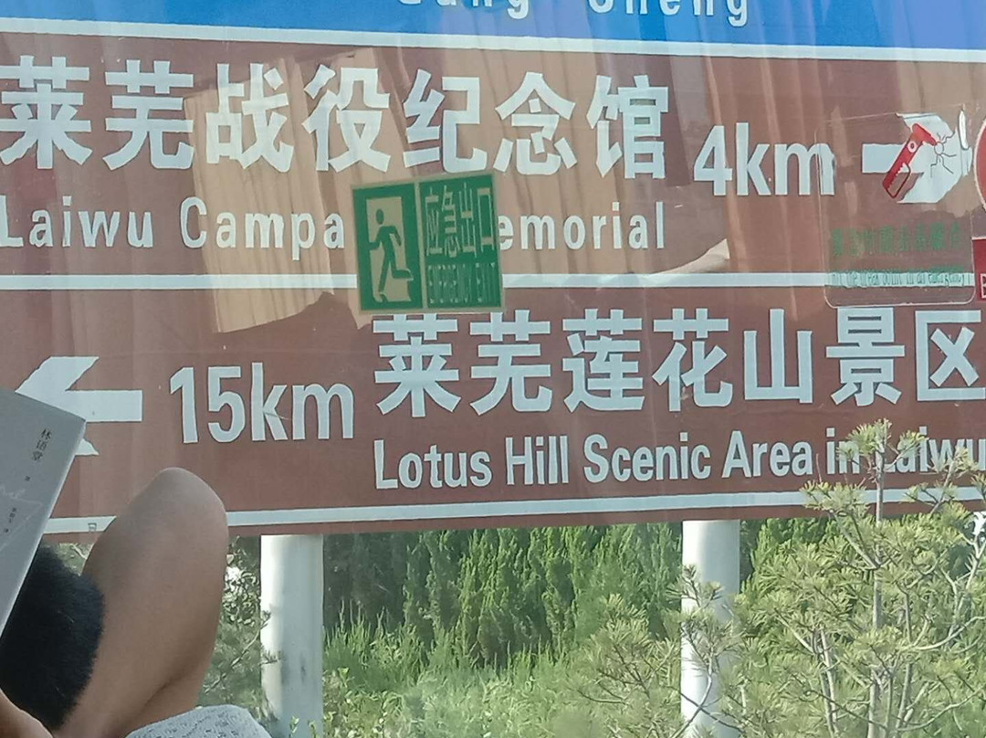 振华商厦(潍州路)