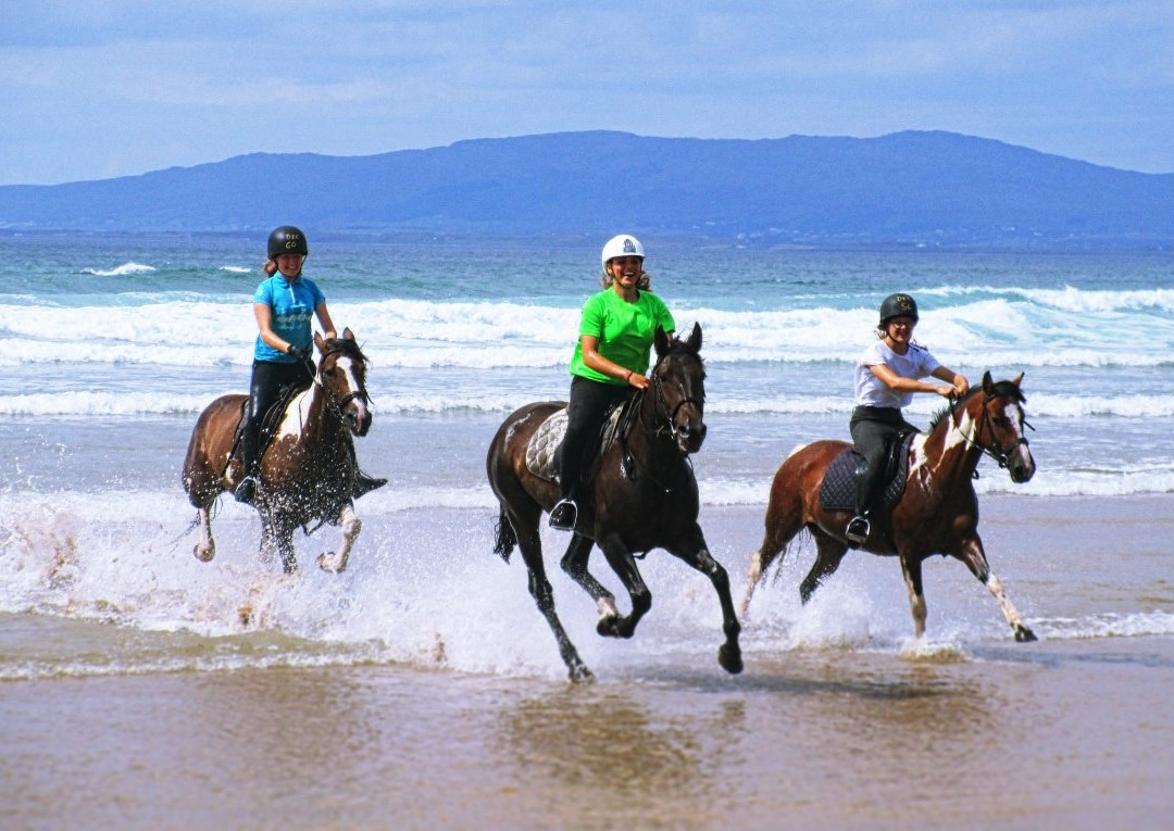 Donegal Equestrian Centre-Bundoran必去景点