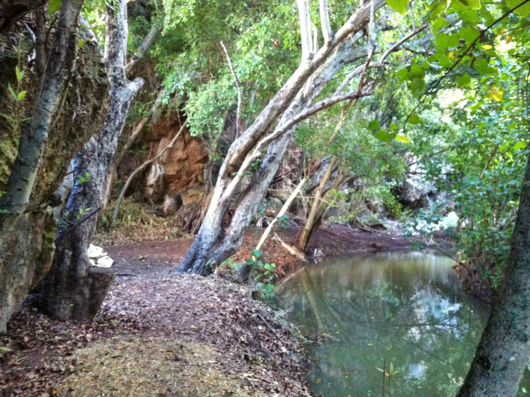 Makauwahi Cave Reserve景点图片