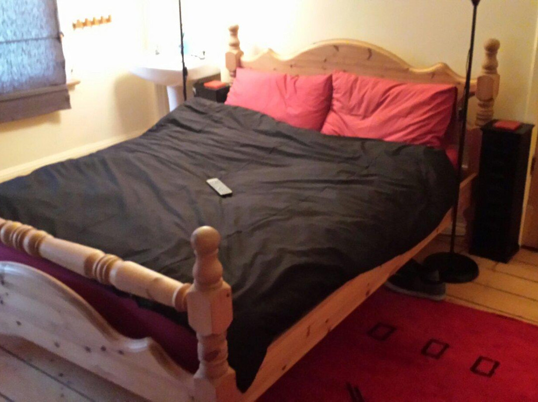 Alma House Bed and Breakfast主图