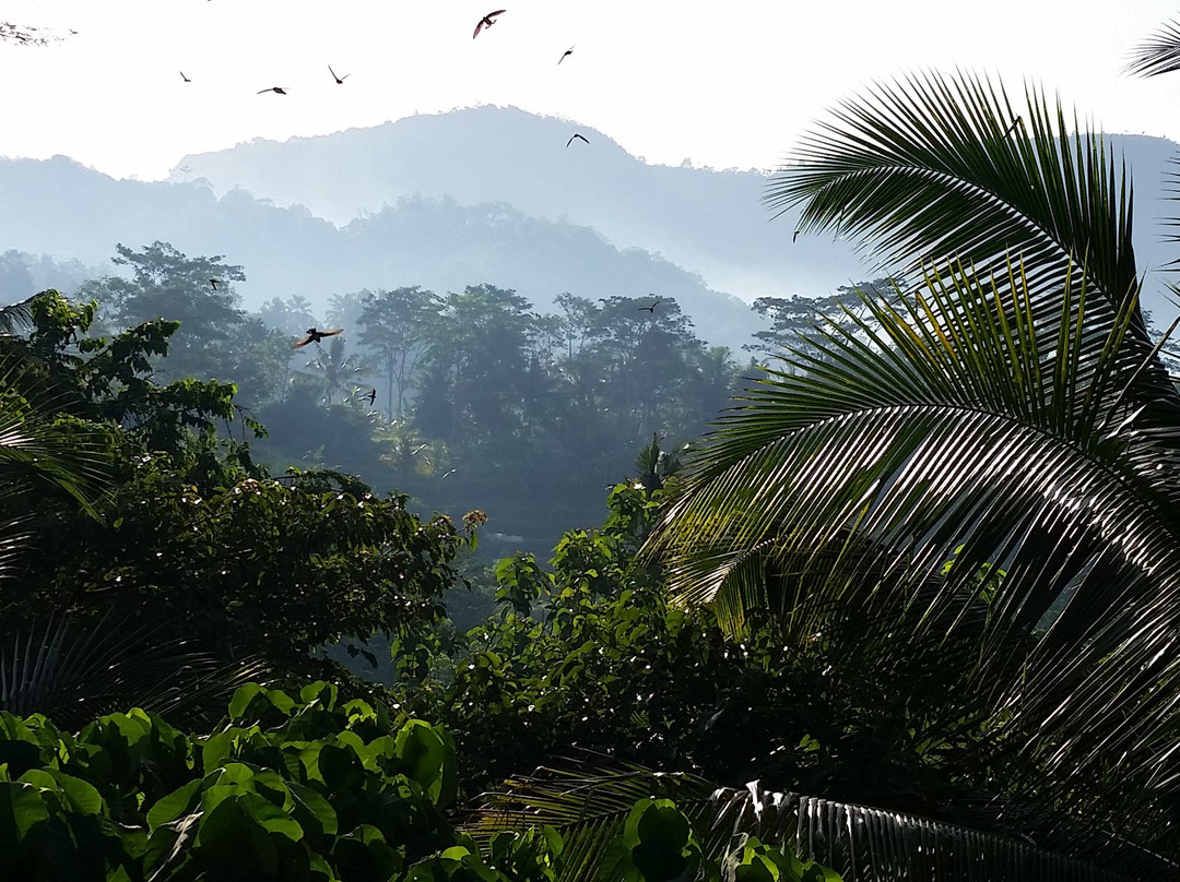 Uma Agung Sidemen主图