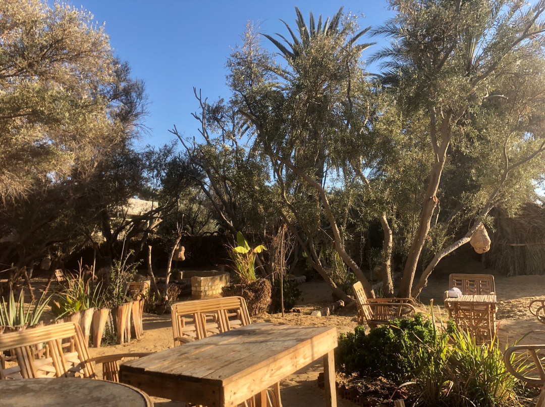 Olive Garden House - Siwa Oasis