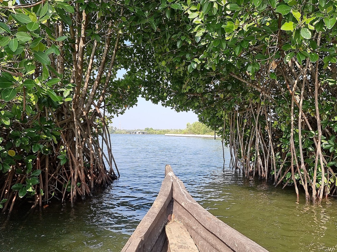 Munroe Island Backwaters Canoe Tours景点图片
