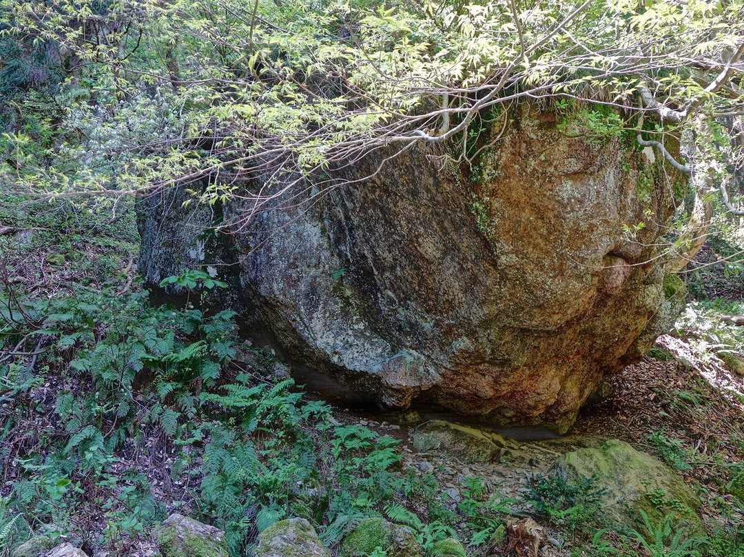 Ninnoji Temple-会津美里町必去景点