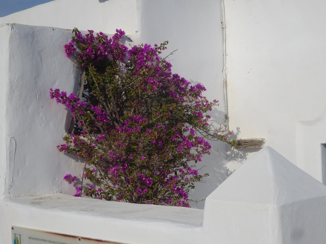 Paros Park Museum-纳乌萨必去景点