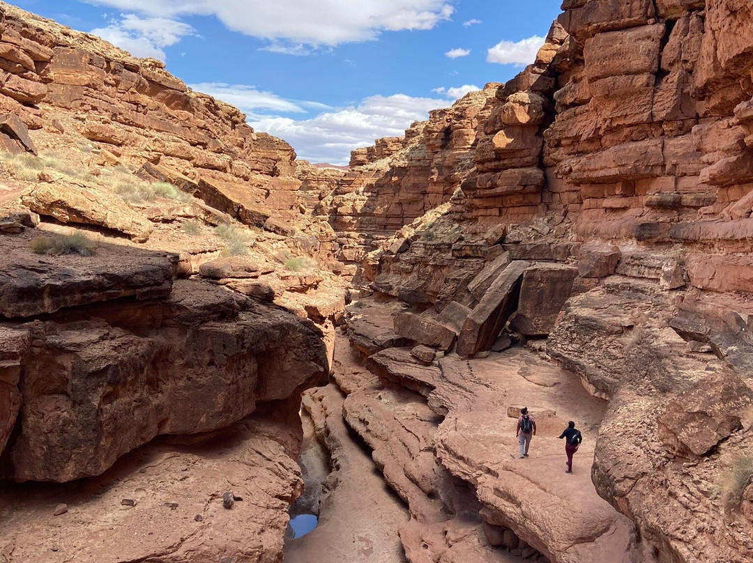 Cathedral Wash Trail-大理石峡谷必去景点