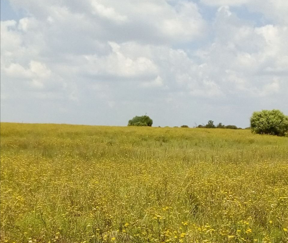 Naval Hill-布隆方丹必去景点