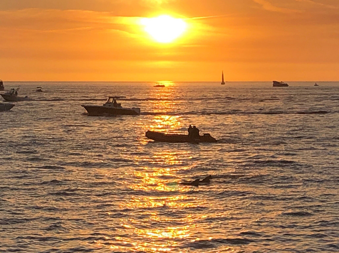 The Tropics Boat Tours-克利尔沃特必去景点