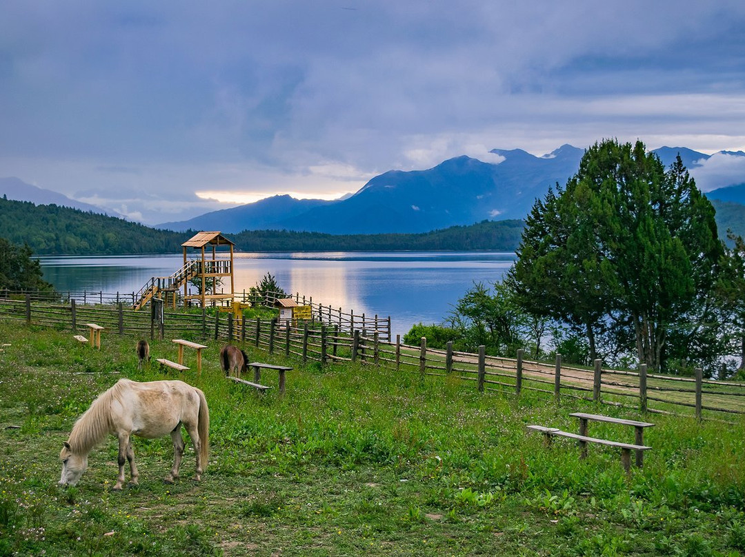 Rara Lake-Rara National Park必去景点