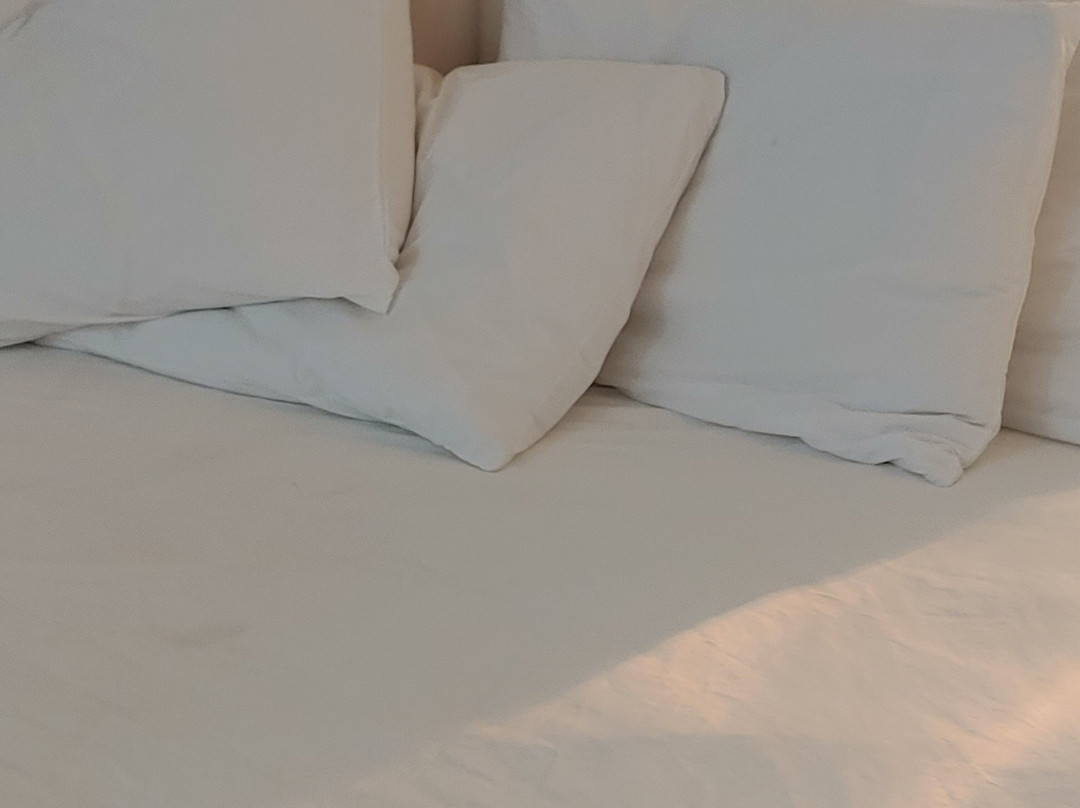 Sun Plaza Motel主图