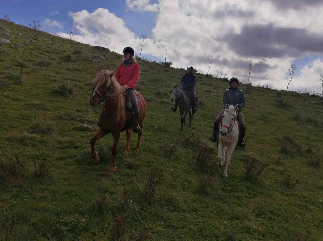 Sicily Horse Riding景点图片