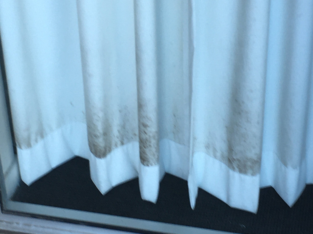 Gympie Muster Inn主图