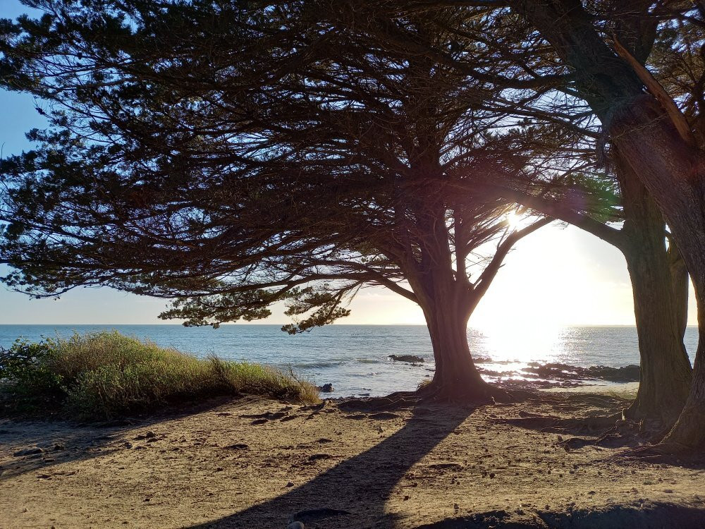 Le Chemin des Douaniers-La Trinite-sur-Mer必去景点