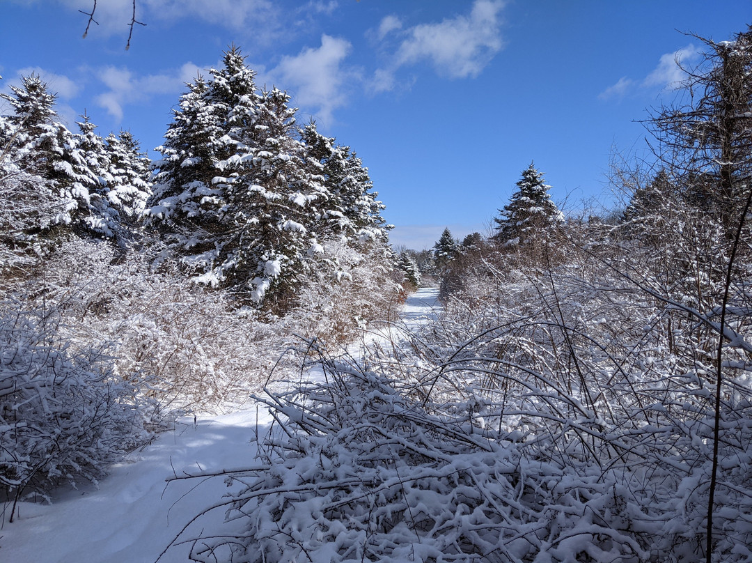 Spruce Acres Farm Trail-米德尔敦必去景点