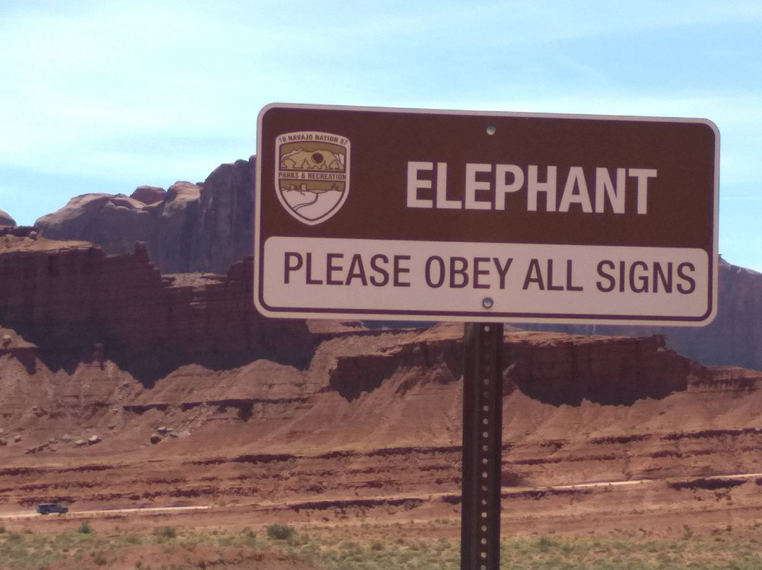 Elephant Butte-纪念碑公园必去景点