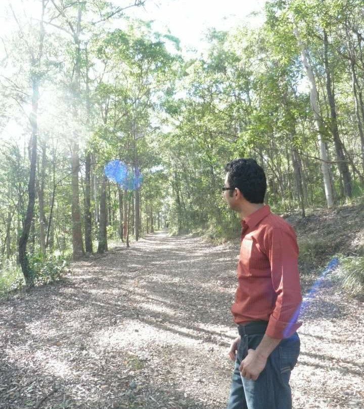 图海森林-布里斯班必去景点