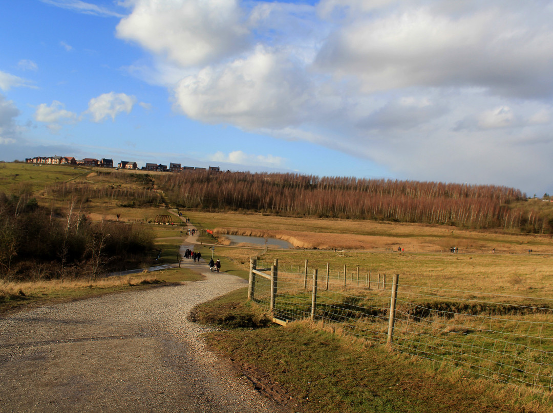 Gedling Country Park景点图片