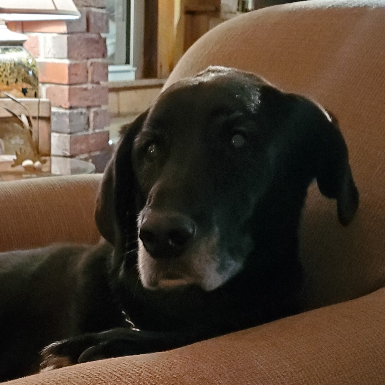 The Bernerhof Inn-portrait
