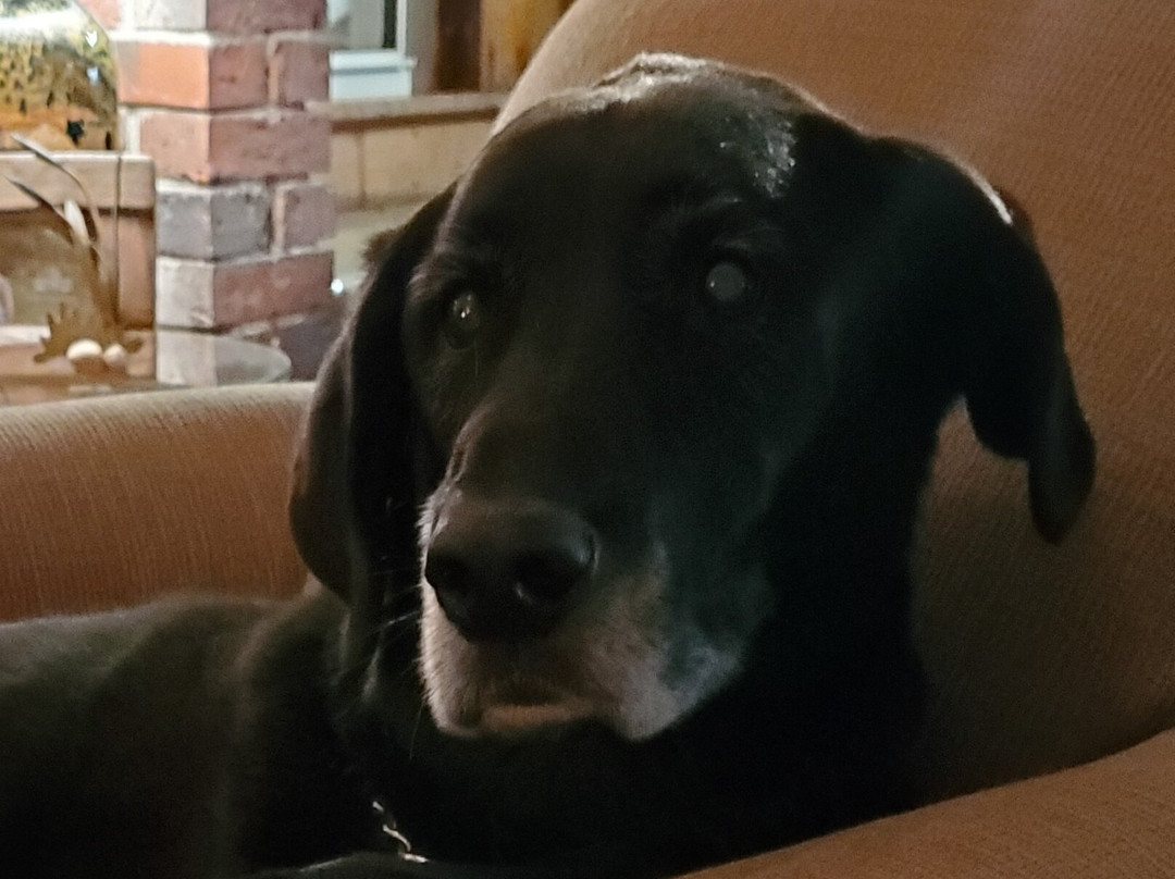 The Bernerhof Inn主图